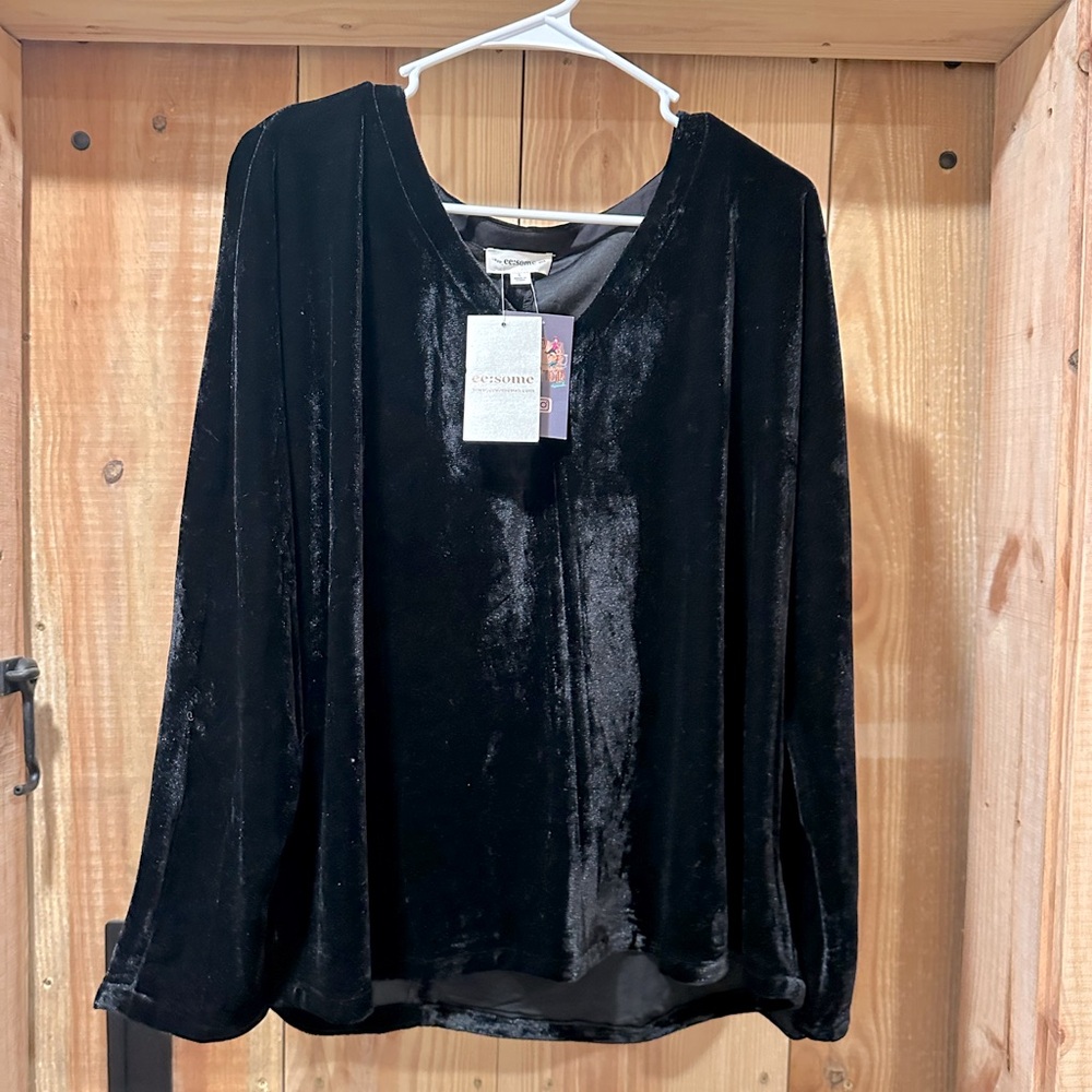 BOUTIQUE BRAND • Velvet Blouse